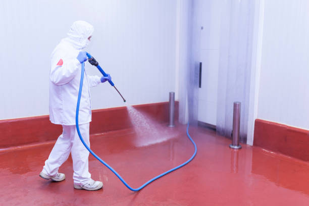 Best Animal Enclosure Cleaning  in Murillo, TX
